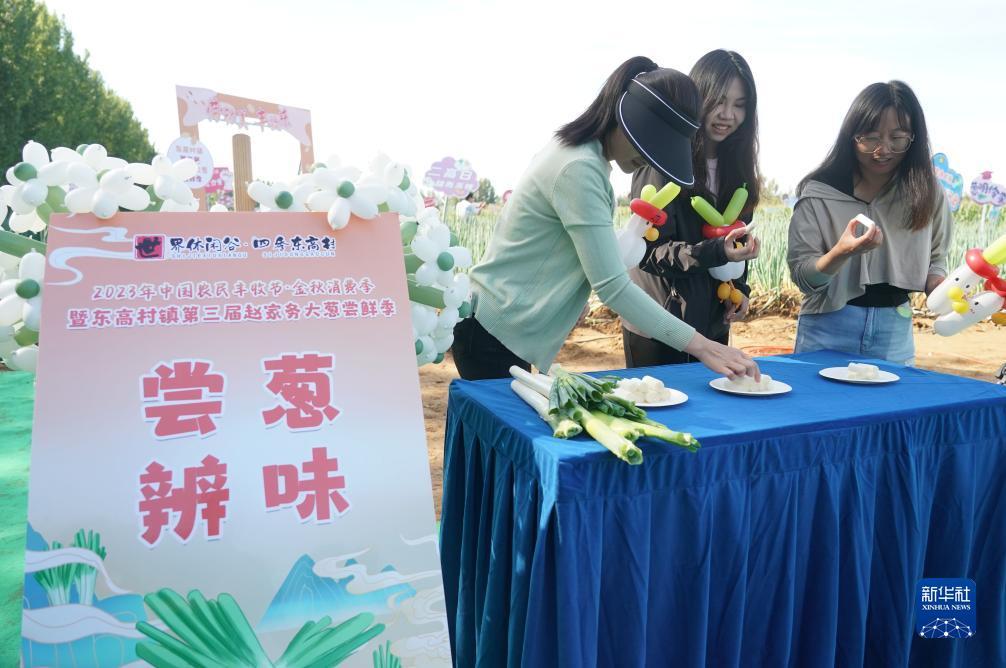凤凰游戏客服电话
